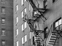 pexels-teju-215592370-31065804